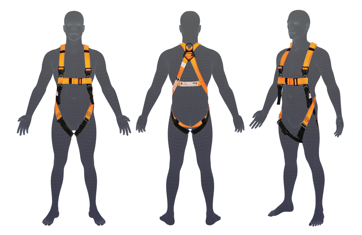 Essential Harness - Standard (M - L)